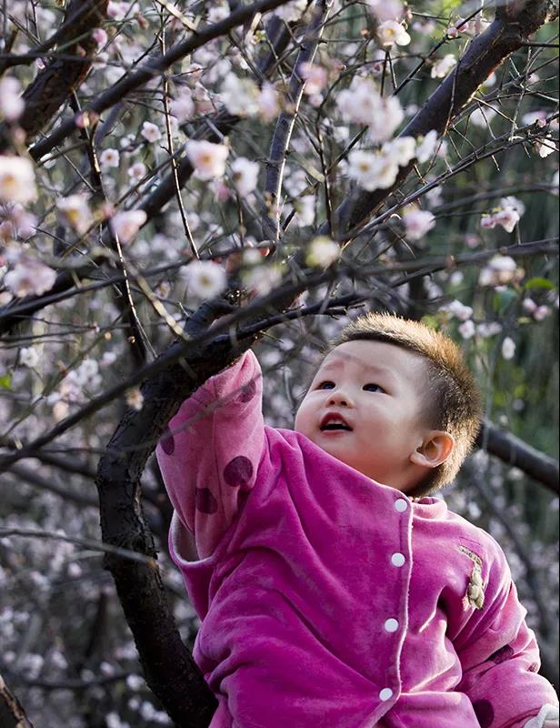 微信图片_20180314150215.jpg 微信图片_20180314150215.jpg