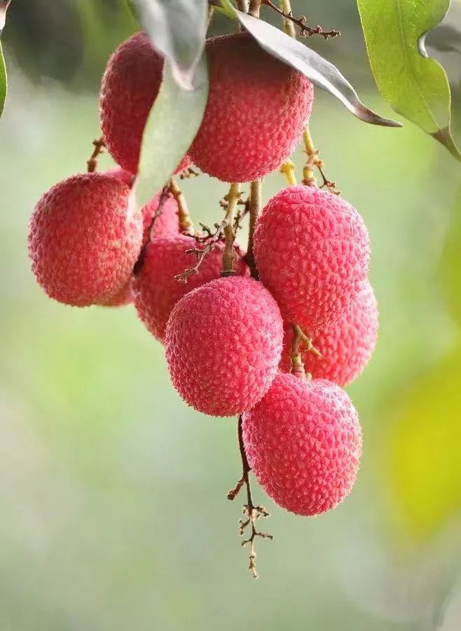 微信图片_20210625144219.jpg 微信图片_20210625144219.jpg