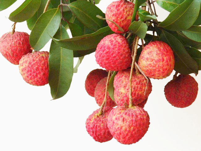 微信图片_20210625144412.png 微信图片_20210625144412.png