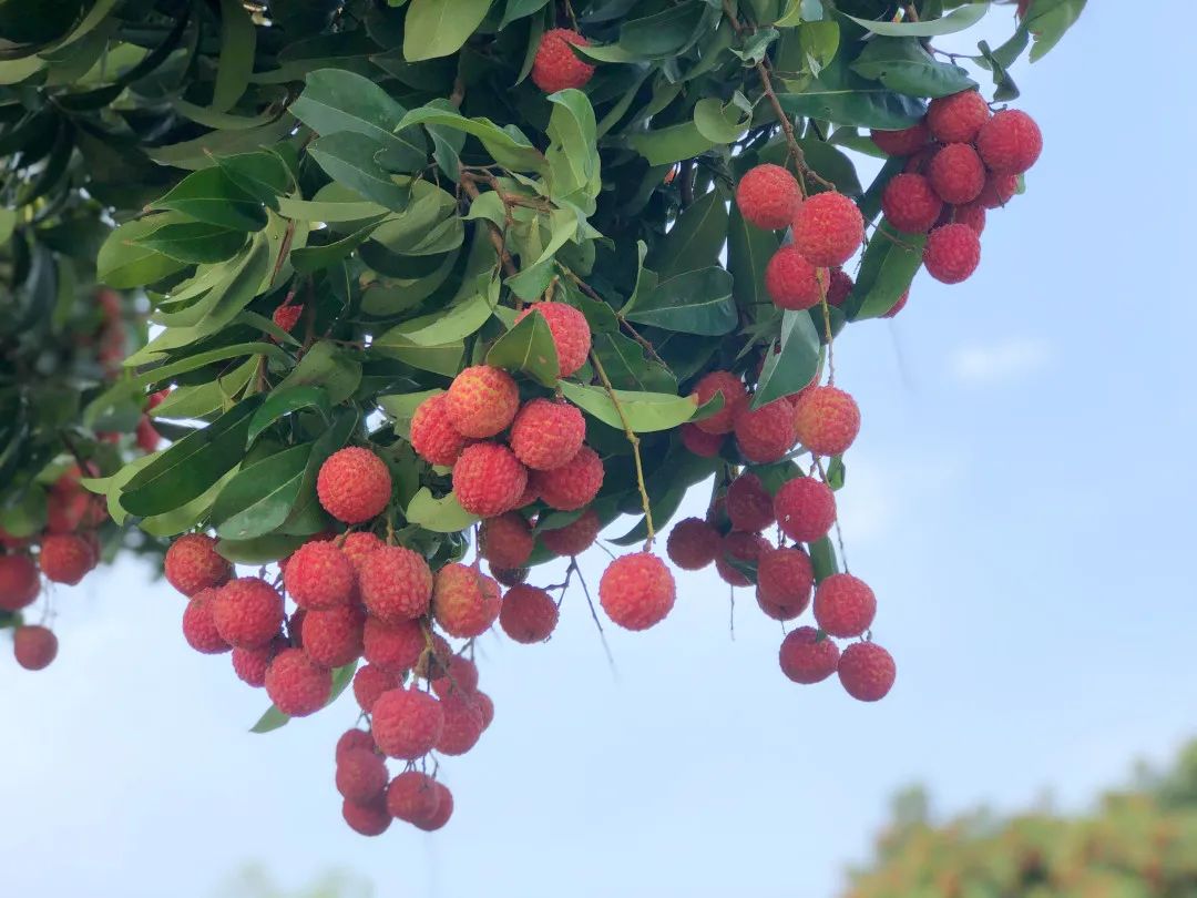 微信图片_20210625144533.jpg 微信图片_20210625144533.jpg