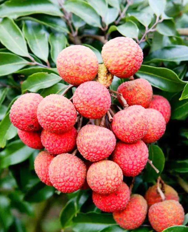 微信图片_20210625145642.jpg 微信图片_20210625145642.jpg