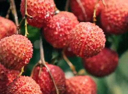 微信图片_20210625161626.gif 微信图片_20210625161626.gif