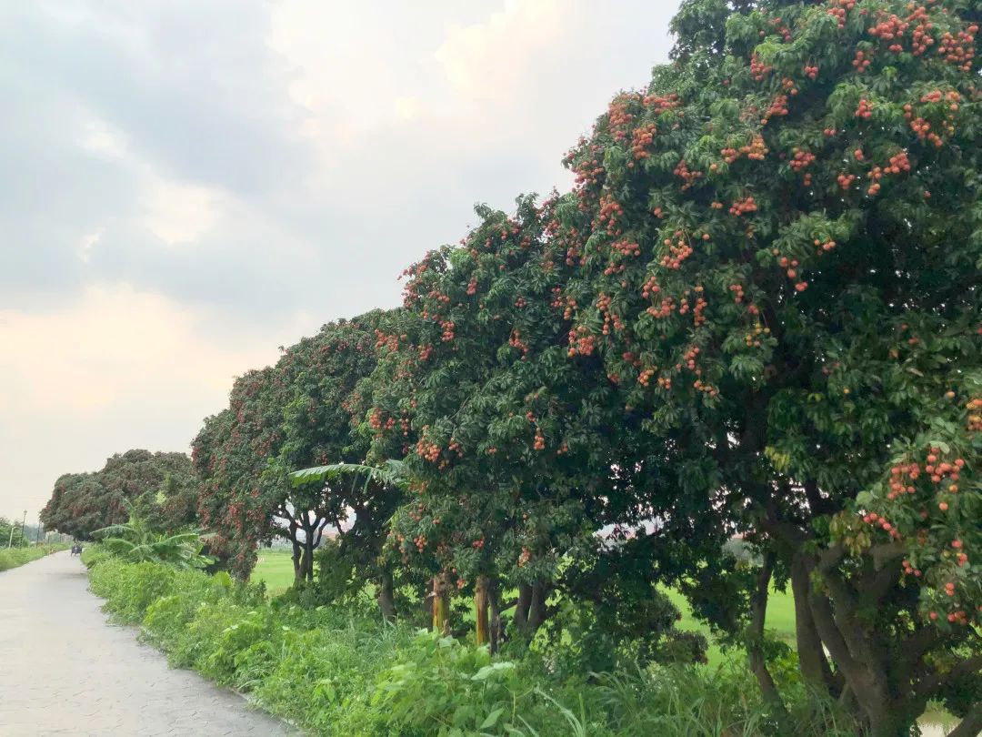 微信图片_20210625161914.jpg 微信图片_20210625161914.jpg