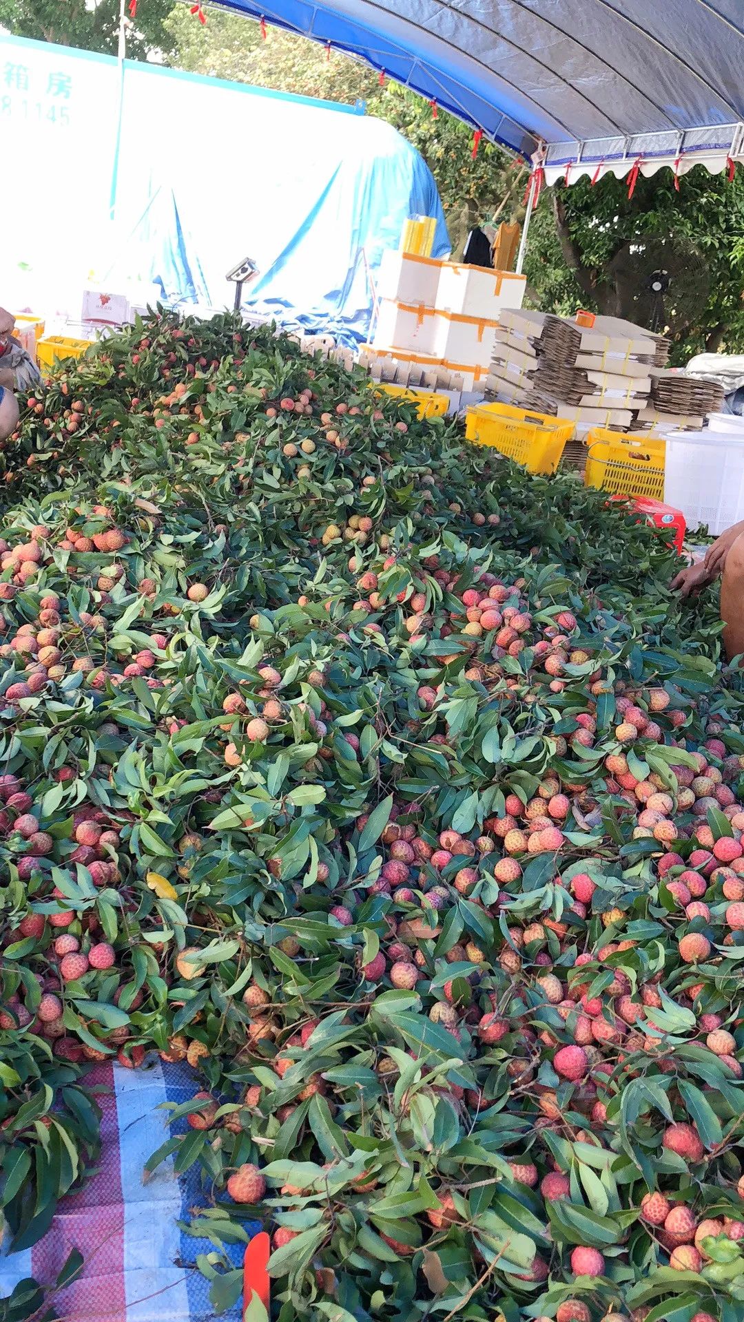 微信图片_20210625163720.jpg 微信图片_20210625163720.jpg