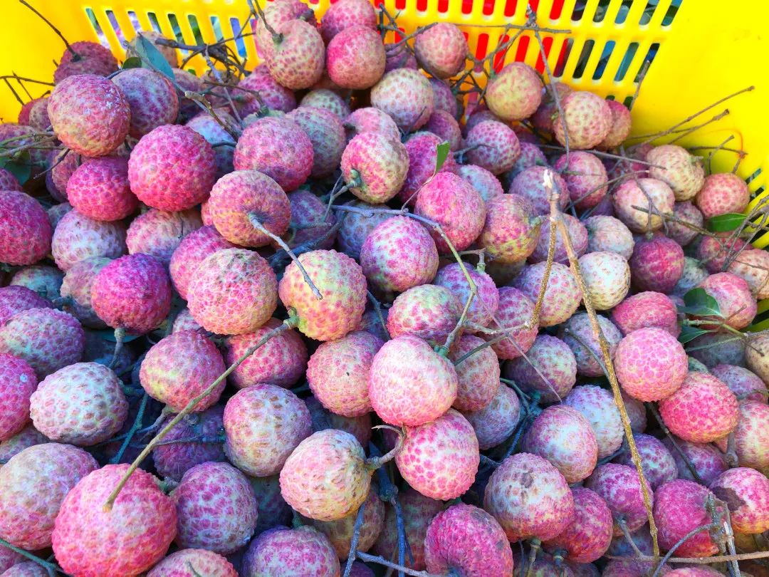 微信图片_20210625163724.jpg 微信图片_20210625163724.jpg