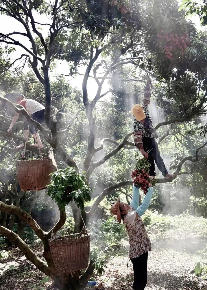 微信图片_20210628100004.jpg 微信图片_20210628100004.jpg