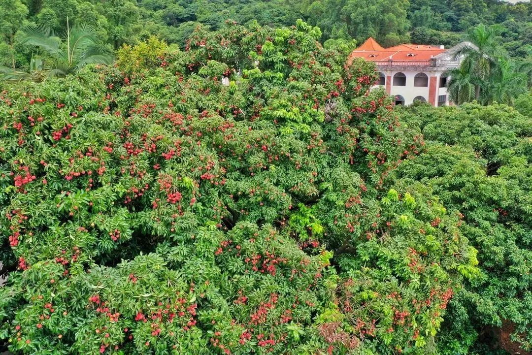 微信图片_20210628100008.jpg 微信图片_20210628100008.jpg