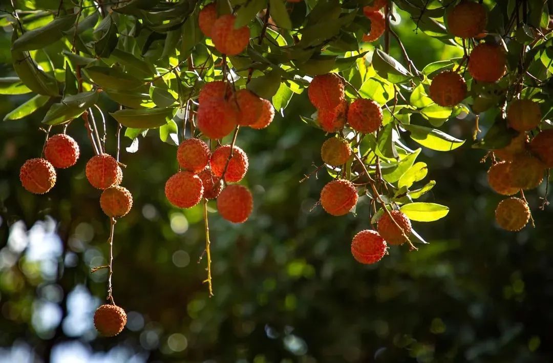 微信图片_20210628100030.jpg 微信图片_20210628100030.jpg