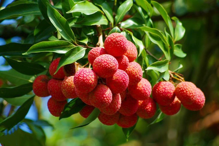 微信图片_20210628100038.png 微信图片_20210628100038.png