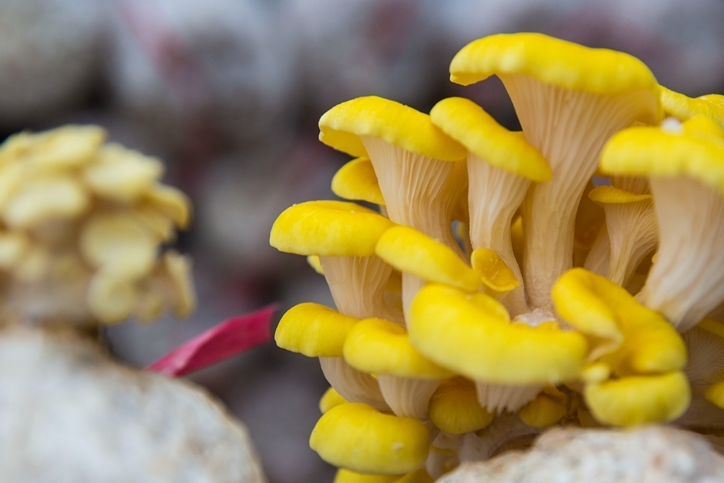 微信图片_20210707111740.png 微信图片_20210707111740.png