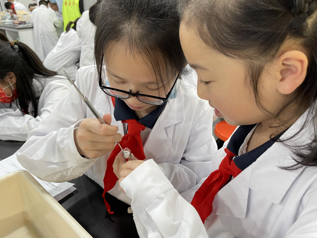 微信图片_20210708093211.png 微信图片_20210708093211.png