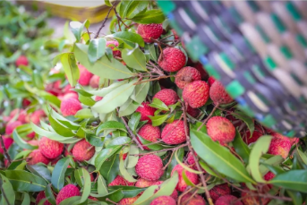 微信图片_20210712151912.png 微信图片_20210712151912.png