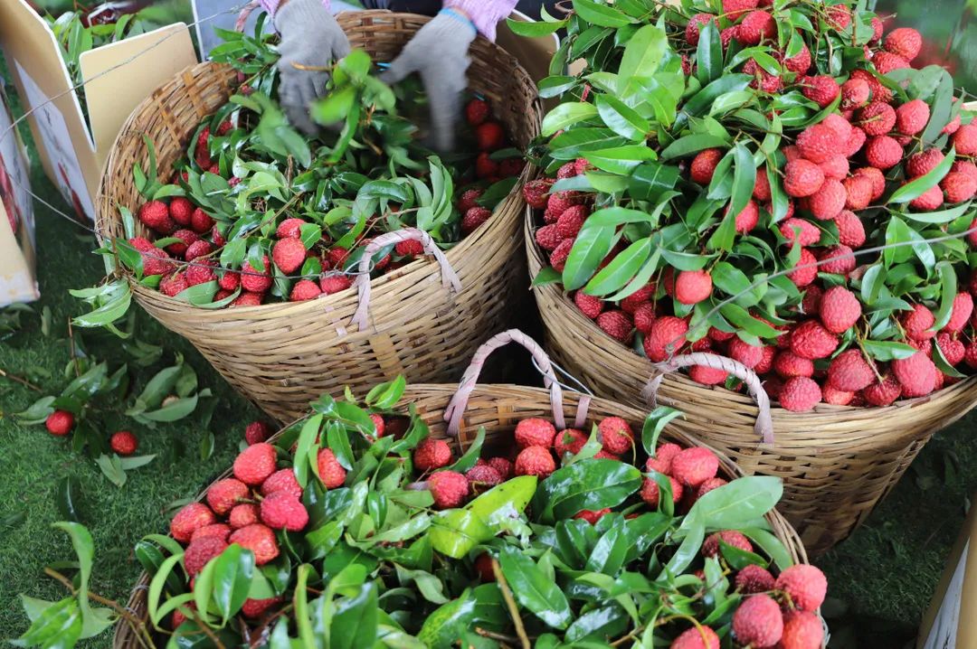 微信图片_20210712151943.jpg 微信图片_20210712151943.jpg