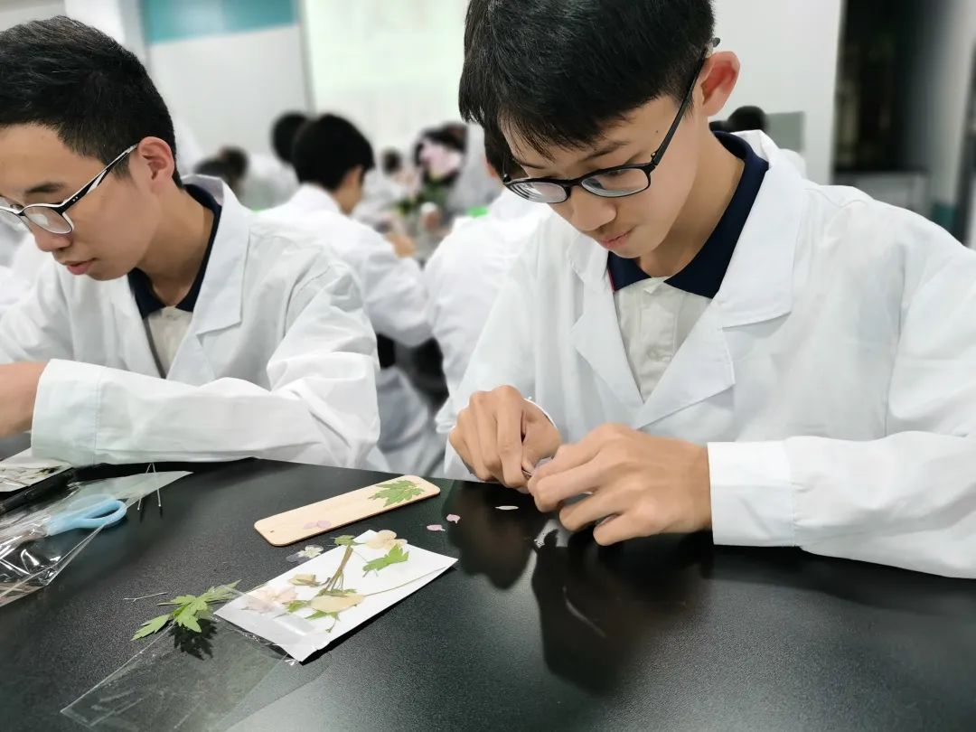 微信图片_20210818092004.jpg 微信图片_20210818092004.jpg